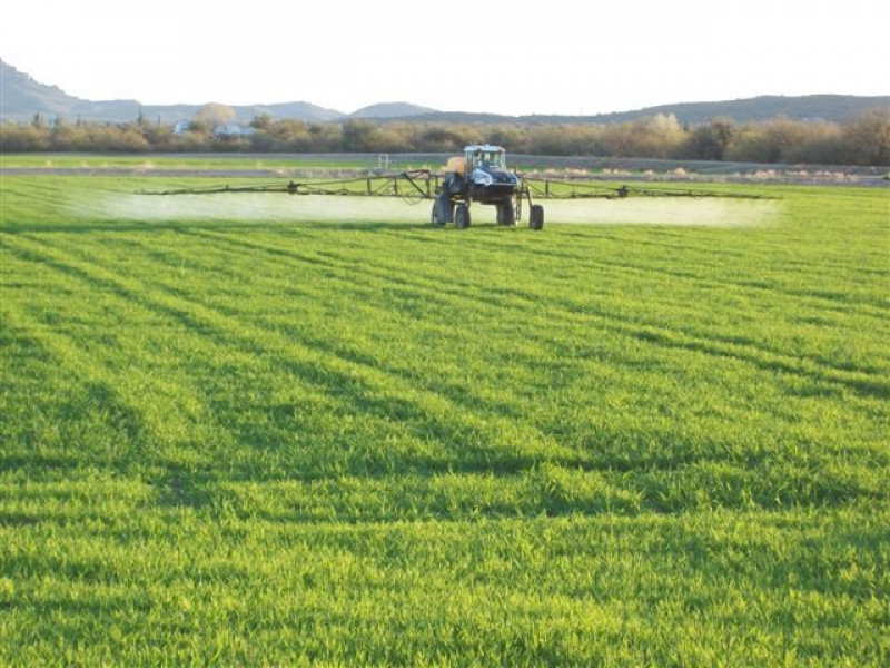 May 2010 Citrus Barley 057-min